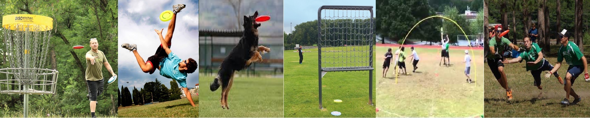 Frisbee Sportarten