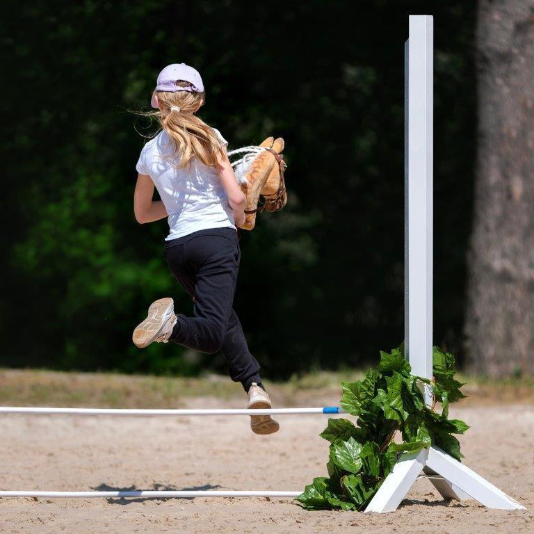 Hobby Horsing