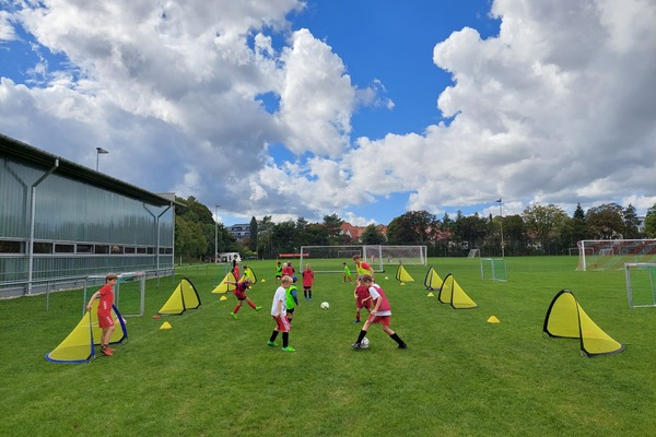 Aktuelle MTV-Infos und neue Kurse!