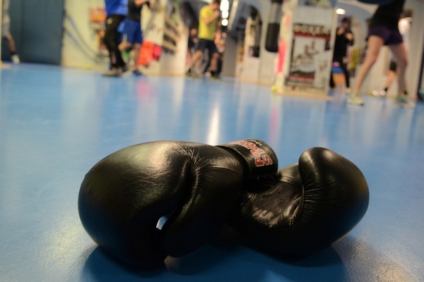 Yoga für Boxer